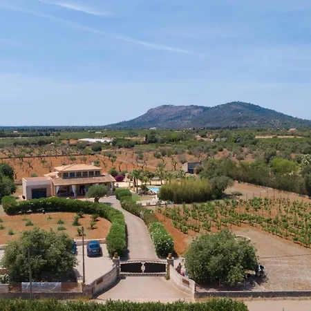 - 4740 Mallorca *