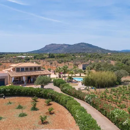- 4740 Mallorca Búger